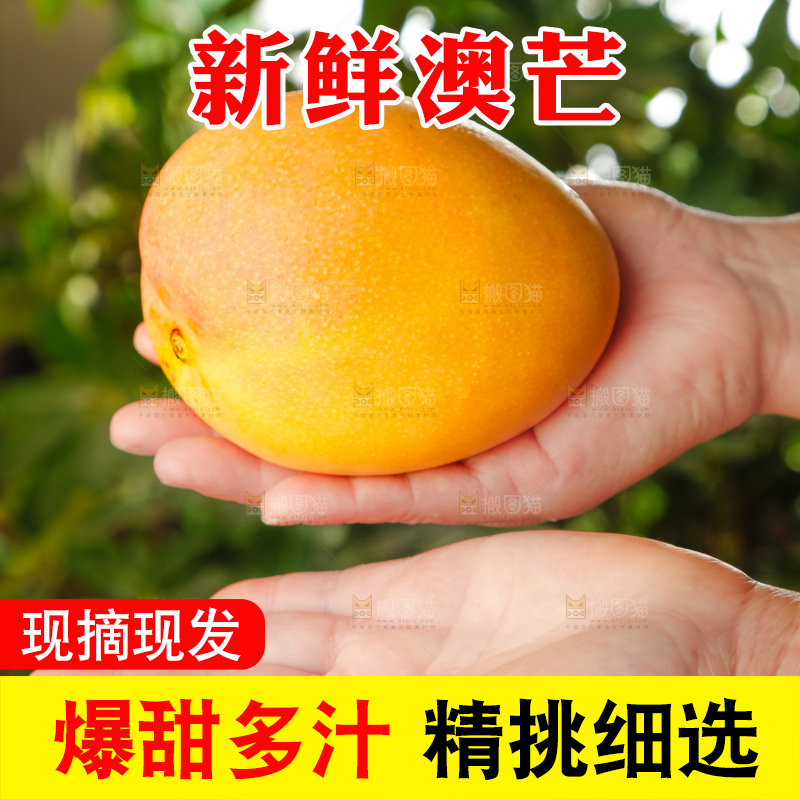手里拿着进口澳芒