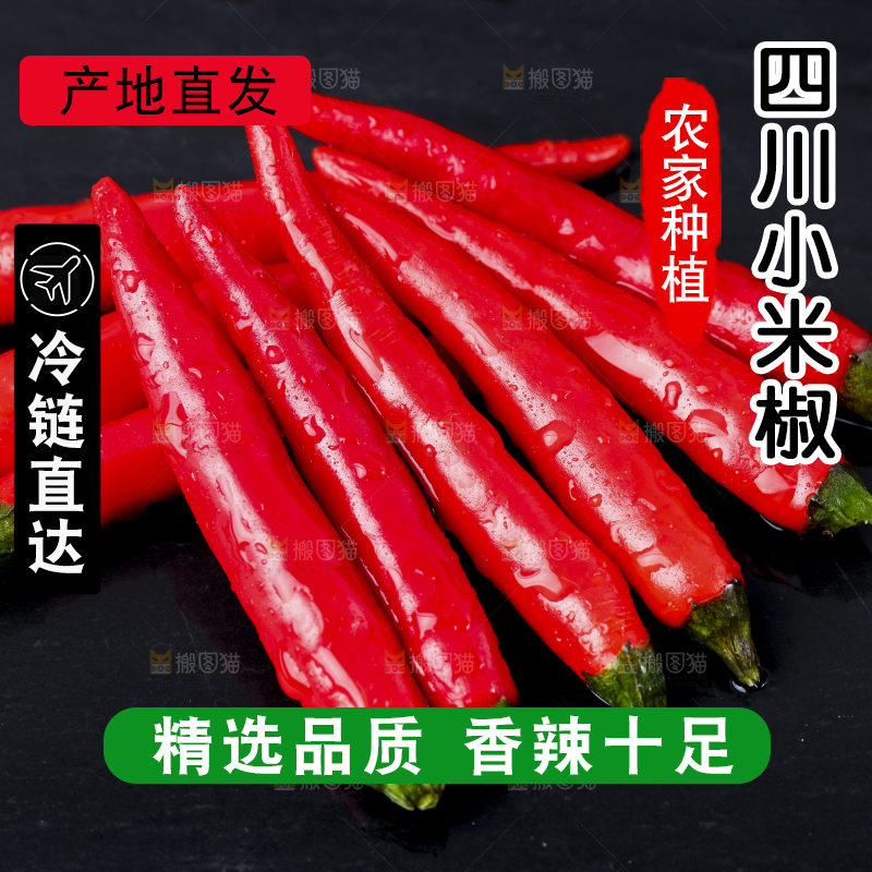 黑底上摆放着指天椒