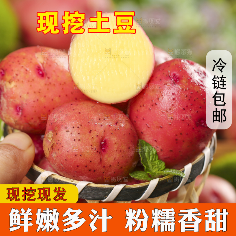 篮子里装着云南红皮土豆