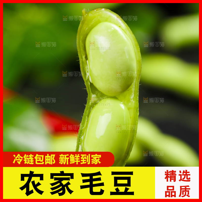 黑底上摆放着毛豆角