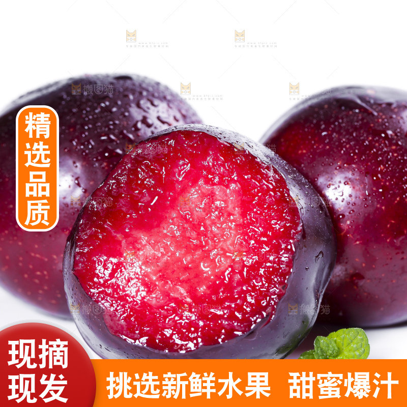 白底上摆放着恐龙蛋李