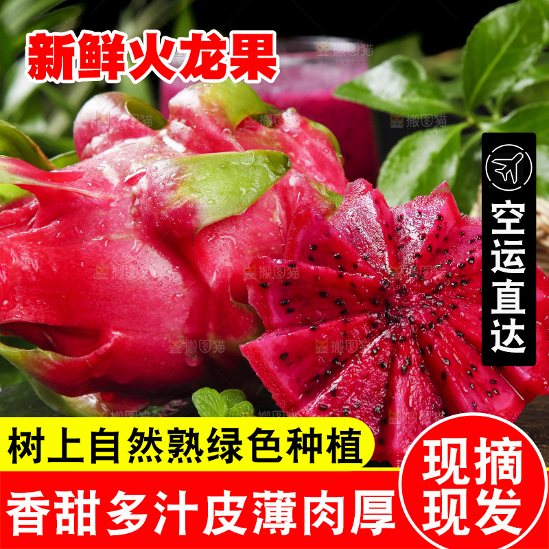 黑底上放着红心火龙果