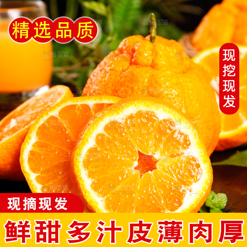 深底上放着不知火丑橘