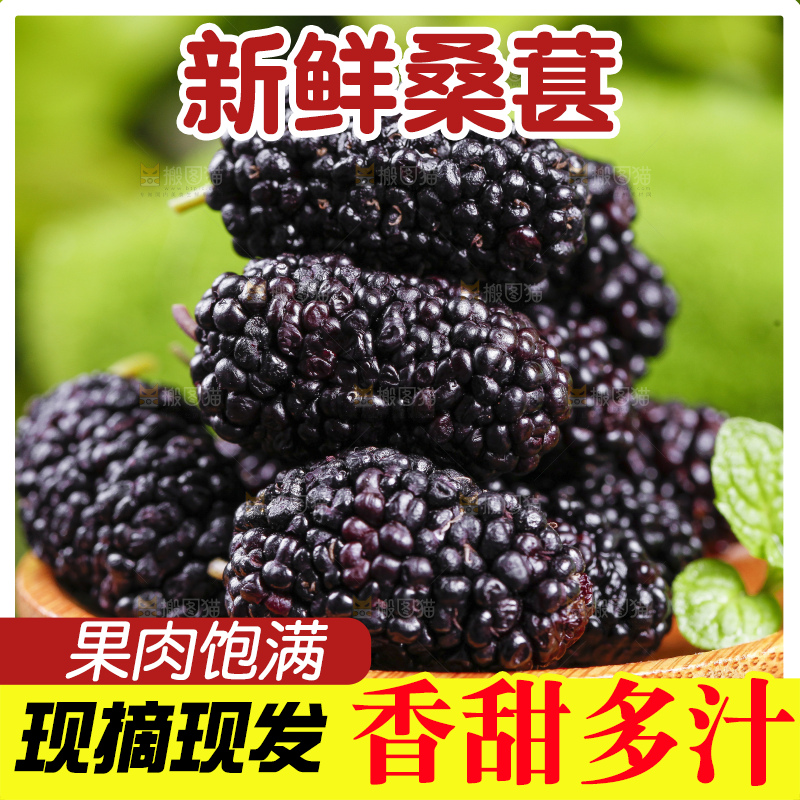 碟子里装着黑桑葚