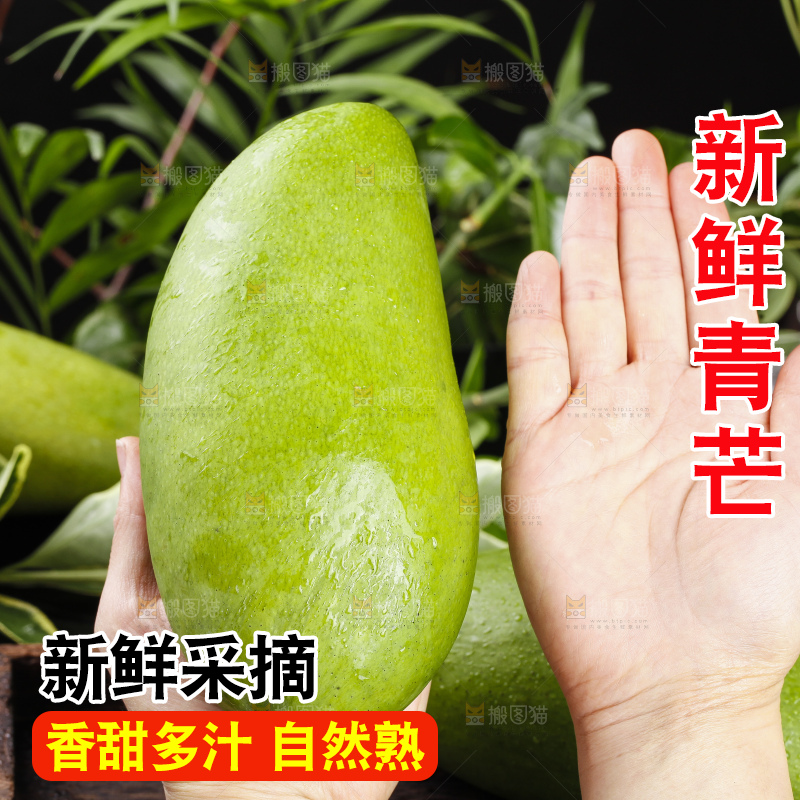 手里拿着青芒