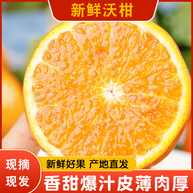 手里拿着沃柑