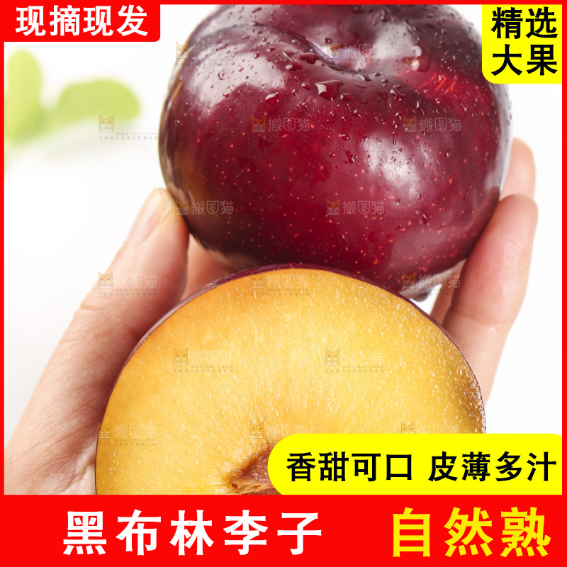 手里拿着进口黑布林