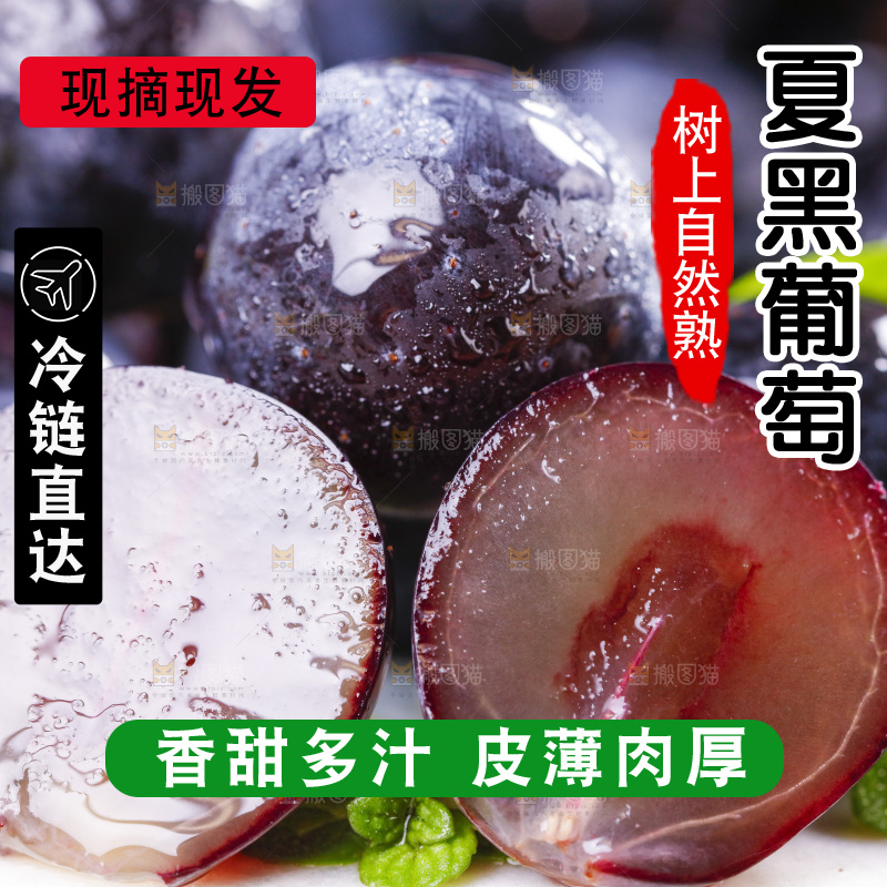 白底上放着紫葡萄
