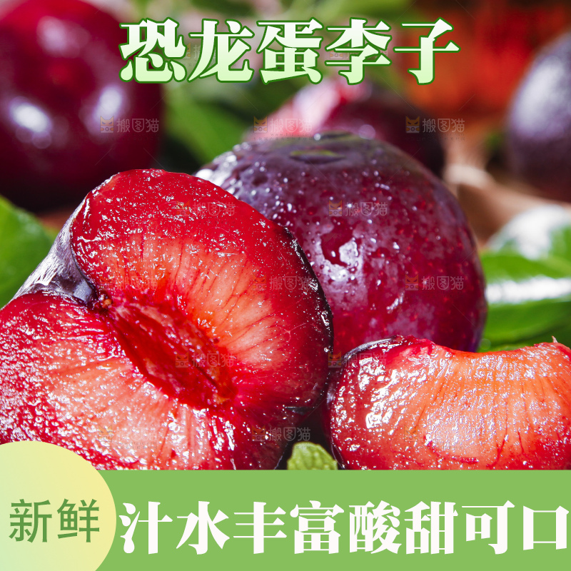 深底上摆放着恐龙蛋李