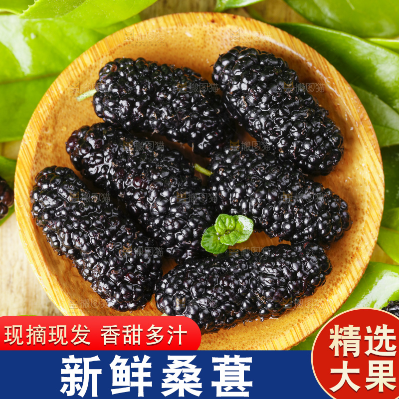碟子里装着天然桑葚