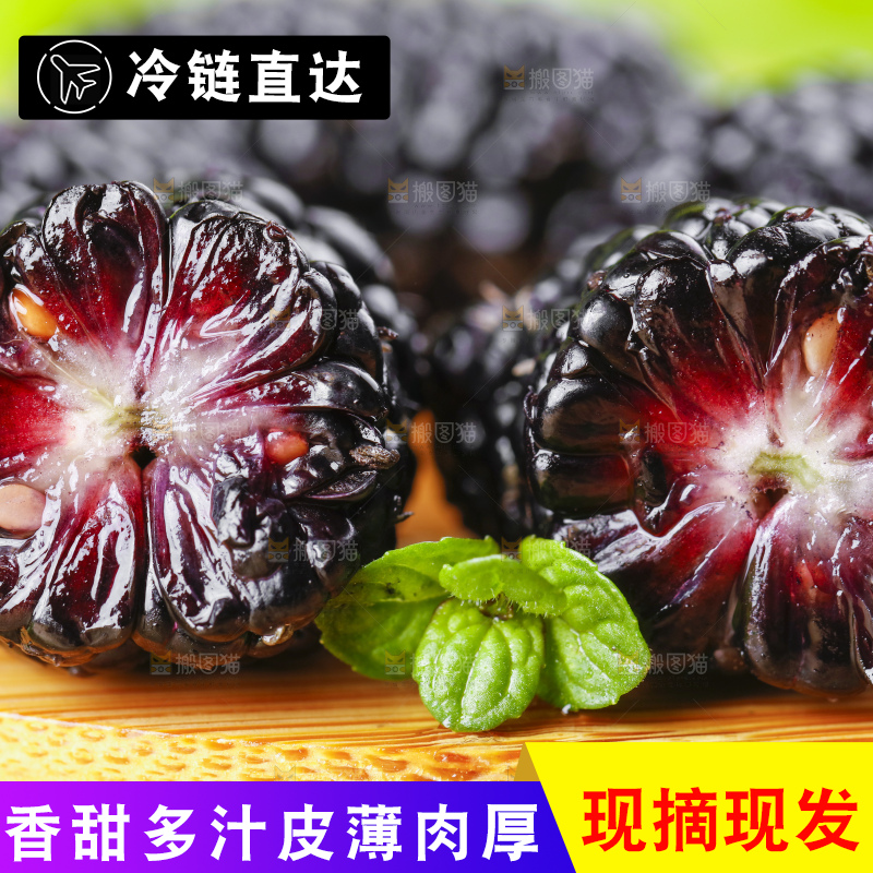 木底上摆放着黑桑葚