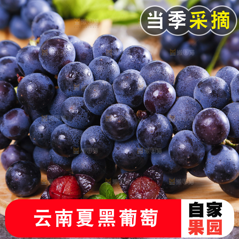 木底上摆放着夏黑无籽葡萄