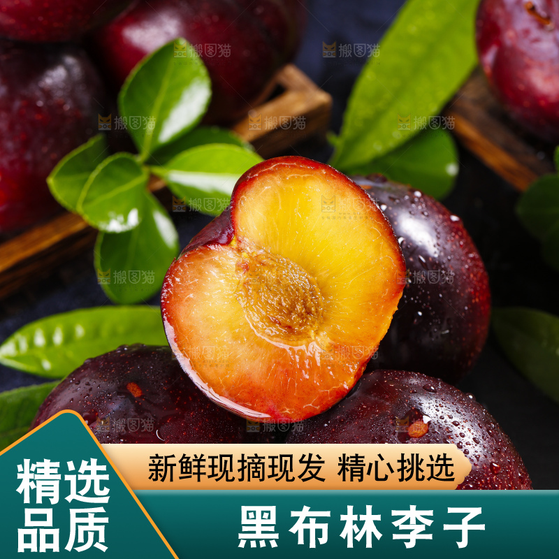 黑底上摆放着黑布李