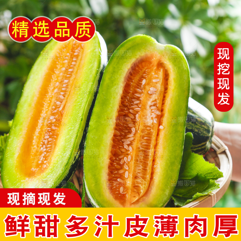 手里拿着一篮山东博洋9号甜瓜