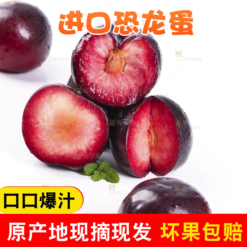 白底上放着智利进口恐龙蛋