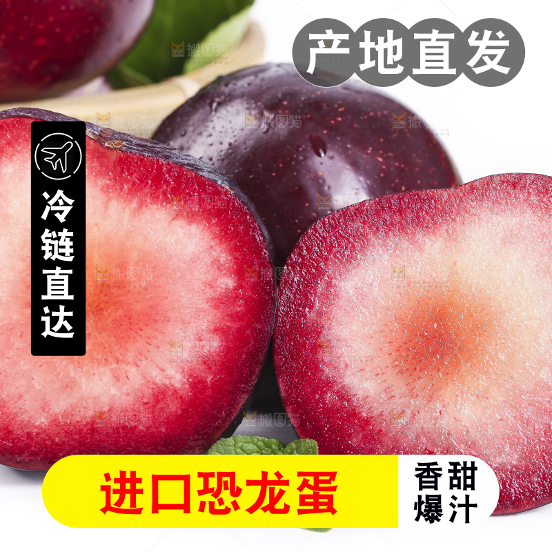 白底上摆放着恐龙蛋