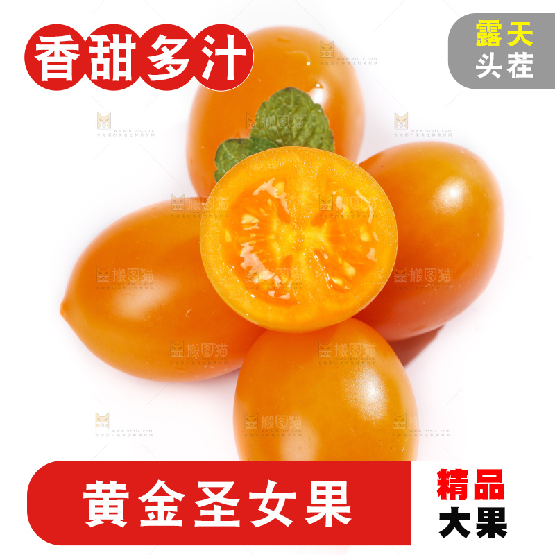白底上摆放着山东黄金圣女果