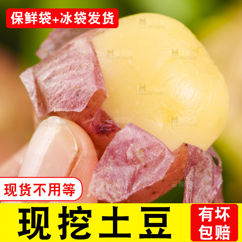 手里拿着洋芋