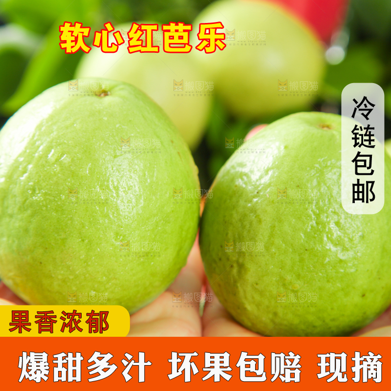 手里拿着红心番石榴