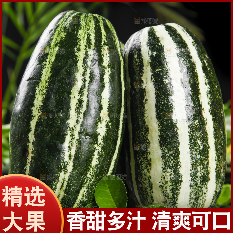黑底上放着博洋9号甜瓜