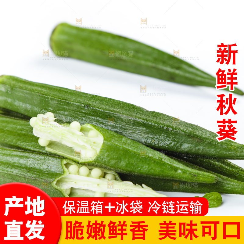 白底上摆放着秋葵