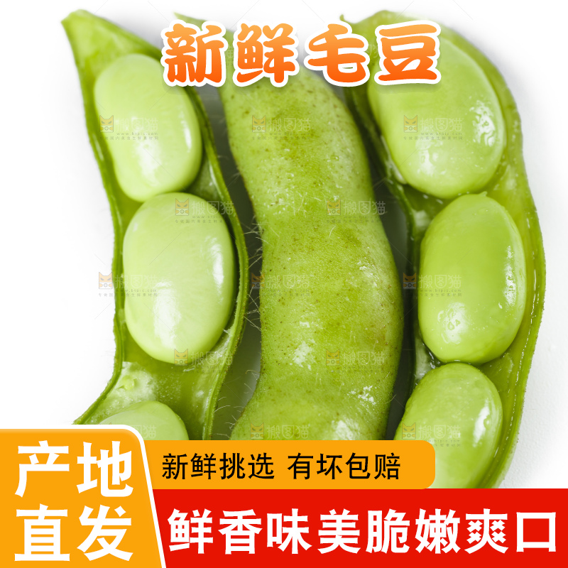 白底上摆放着毛豆角