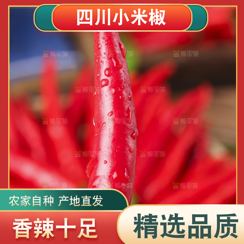 手里拿着小尖椒