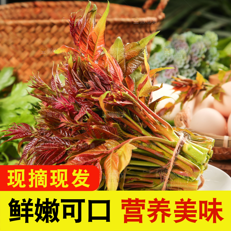 盘子里装着新鲜香椿苗