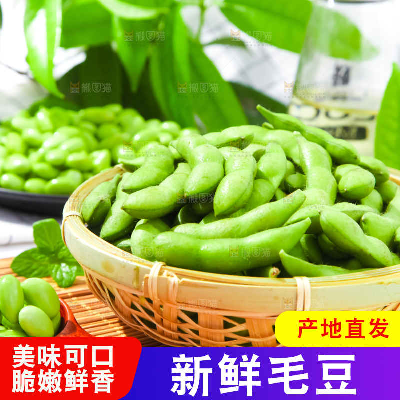 篮子里装着毛豆