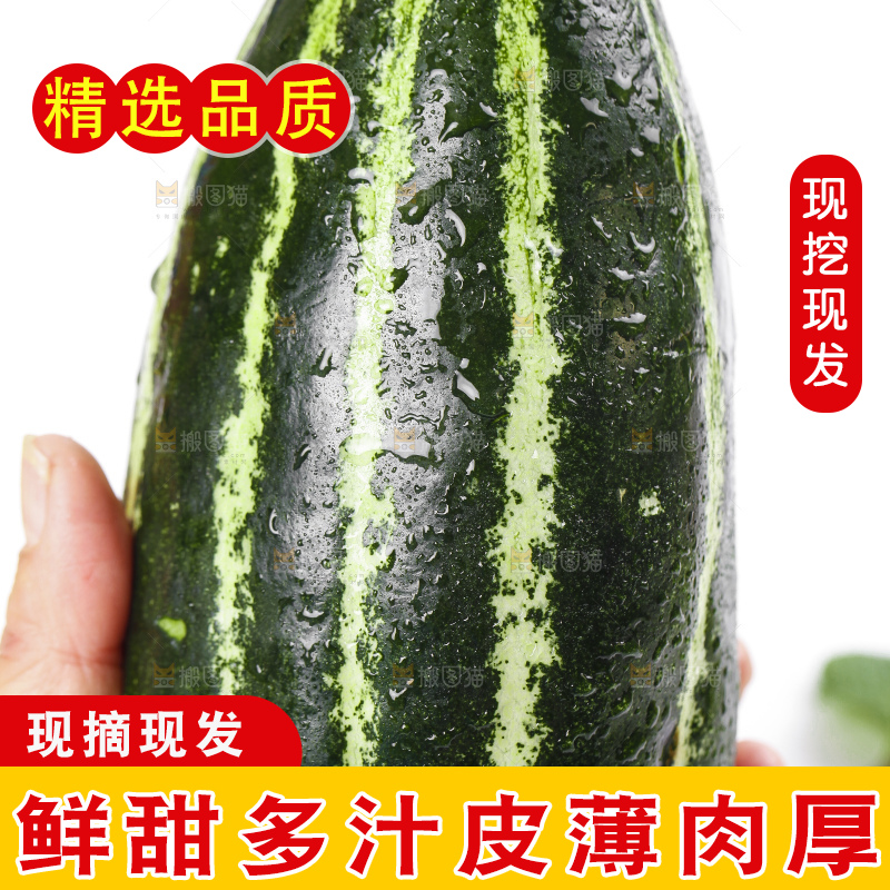 手里拿着花皮甜瓜