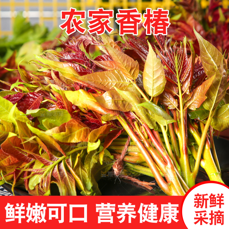 盘子里放着香椿