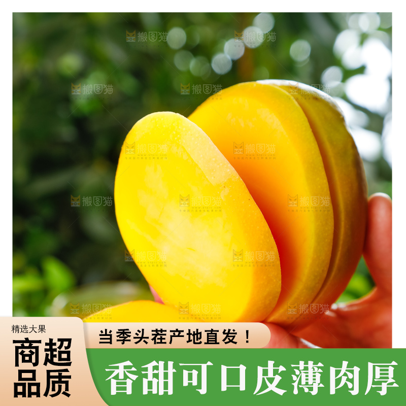 木底上摆放着新鲜澳芒