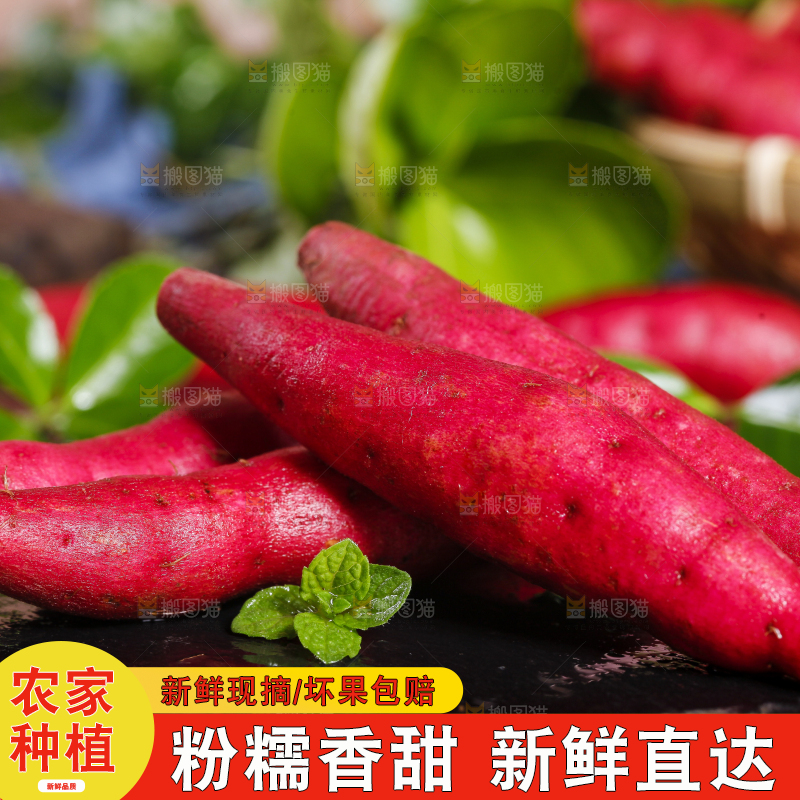 深底上摆放着小红薯