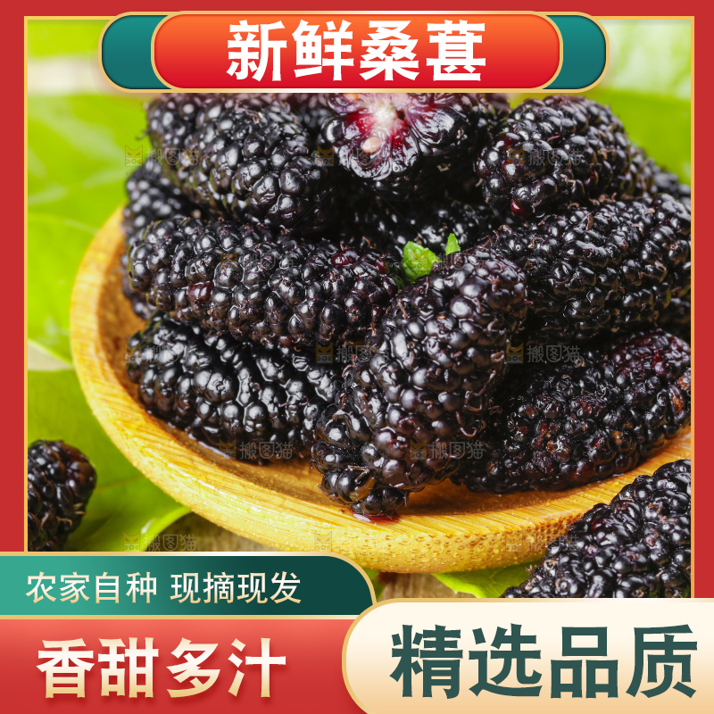 碟子里装着桑葚子