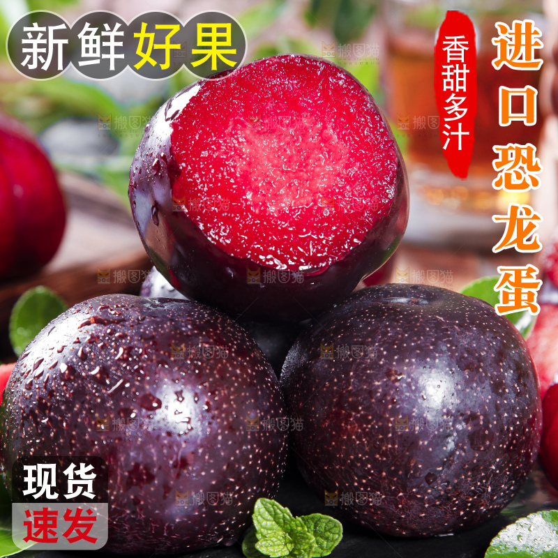 黑底上摆放着智利进口恐龙蛋