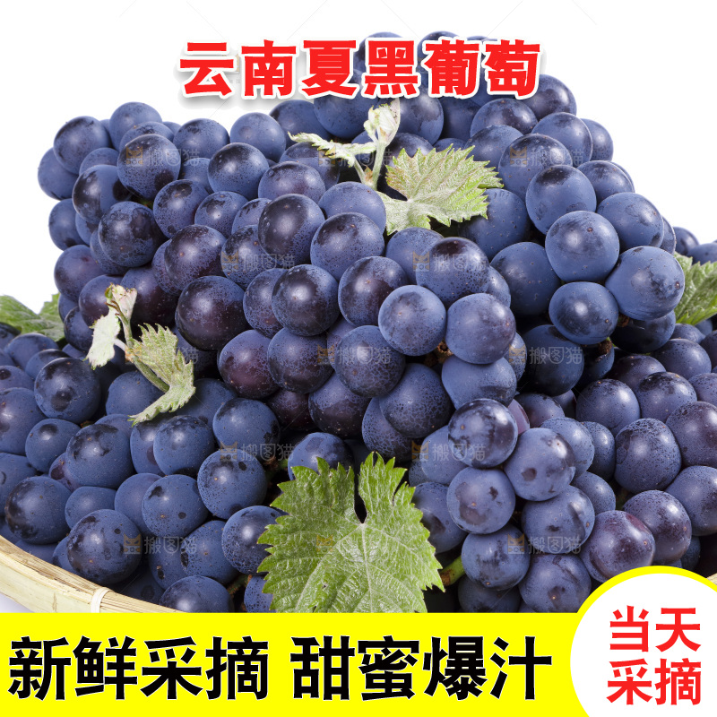 篮子里装着夏黑葡萄
