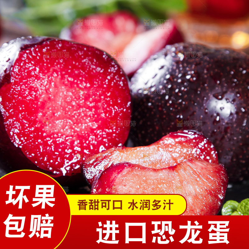 黑底上摆放着智利进口恐龙蛋