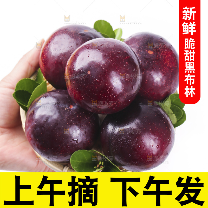 手里拿着一盘黑布朗
