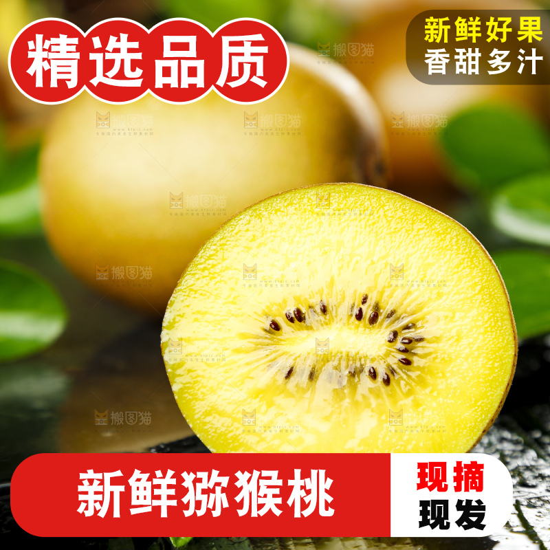 黑底上摆放着四川黄心猕猴桃
