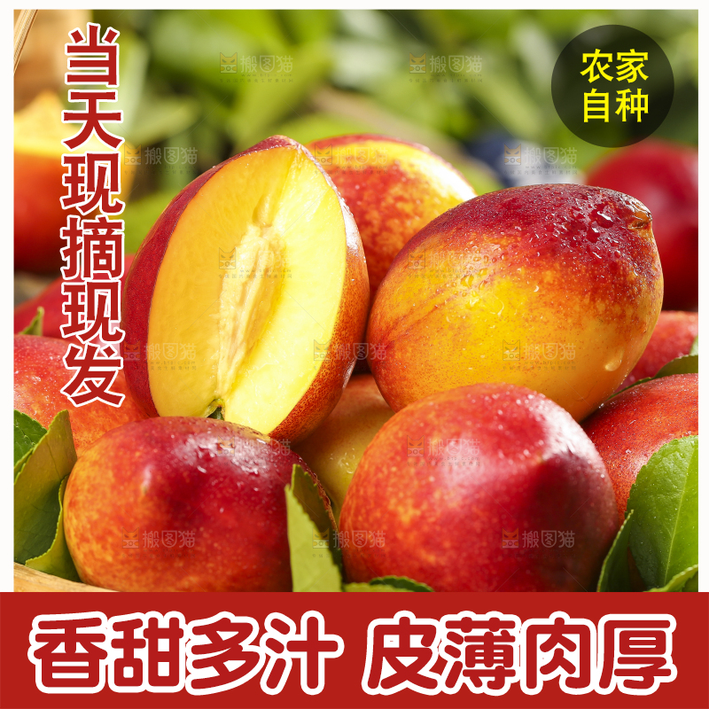 篮子里装着新鲜油桃