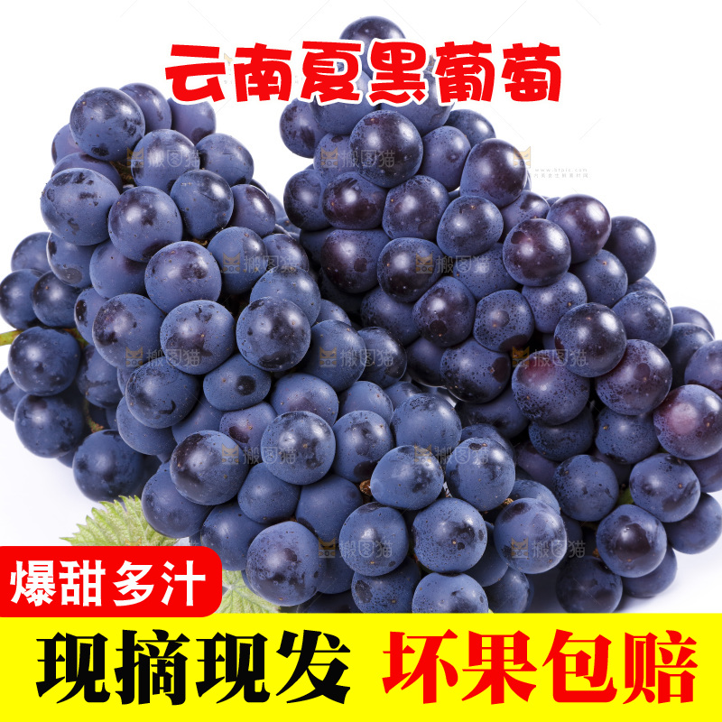 白底上摆放着巨峰葡萄