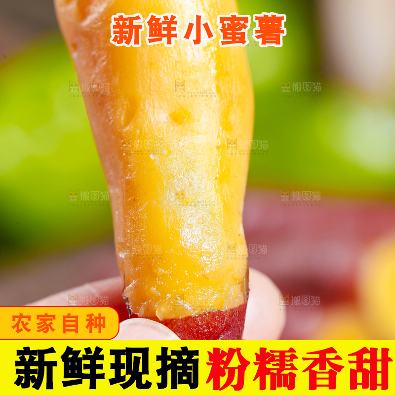 手里拿着小蜜薯