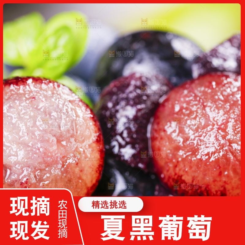 堆放着一堆的无籽黑提