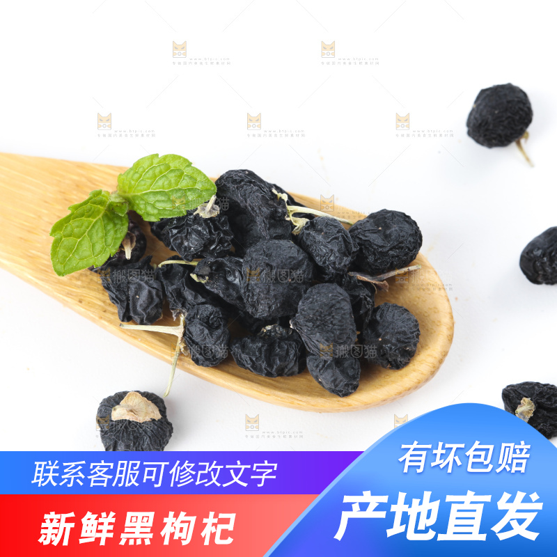 勺子上放着野生黑枸杞
