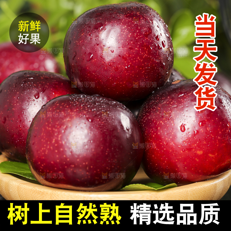 碟子里装着黑布李