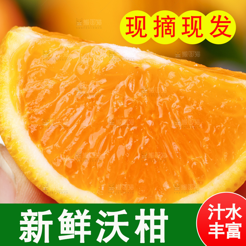 手里拿着沃柑