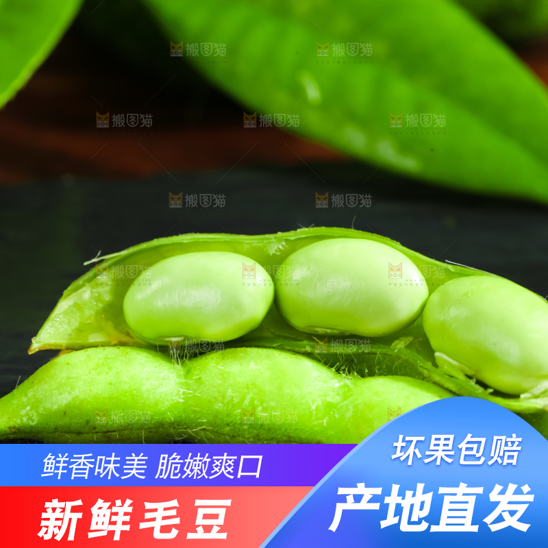 黑底上摆放着湖北毛豆