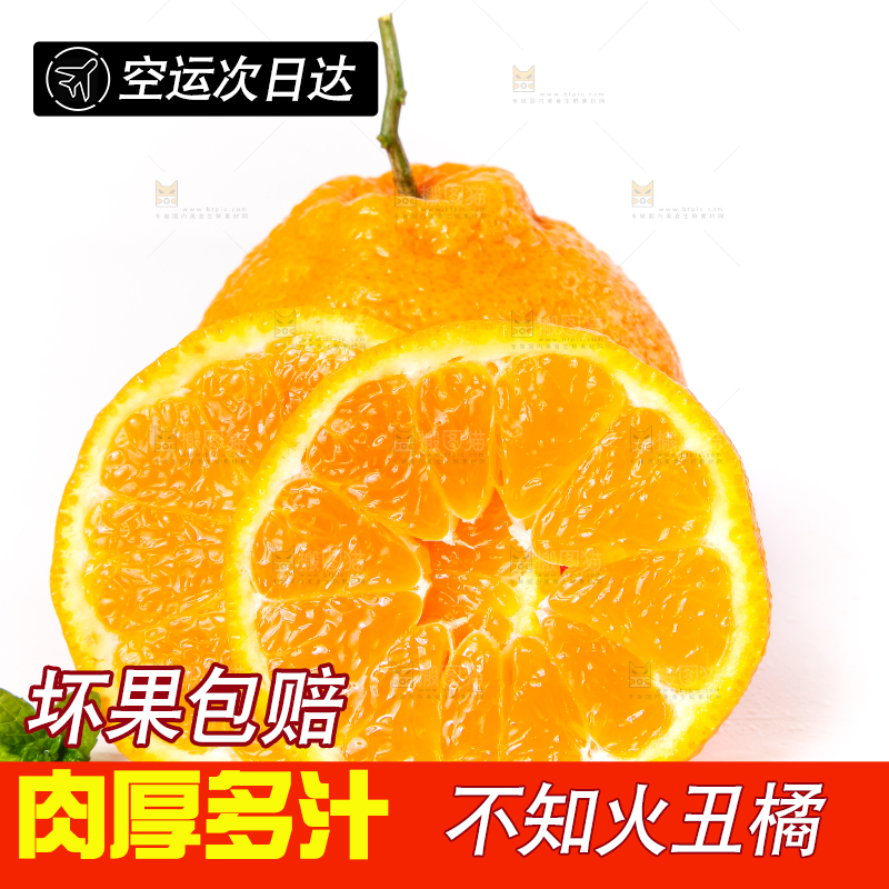 白底上摆放着丑柑