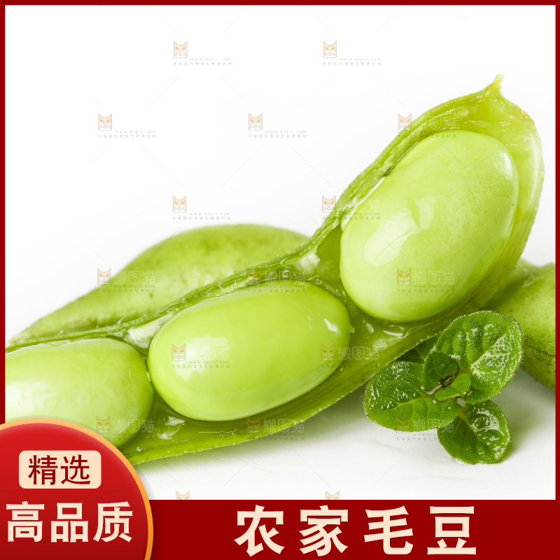 白底上摆放着毛豆角