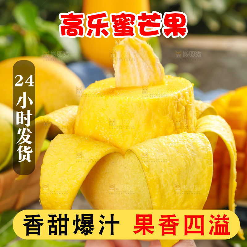 手里拿着水仙芒